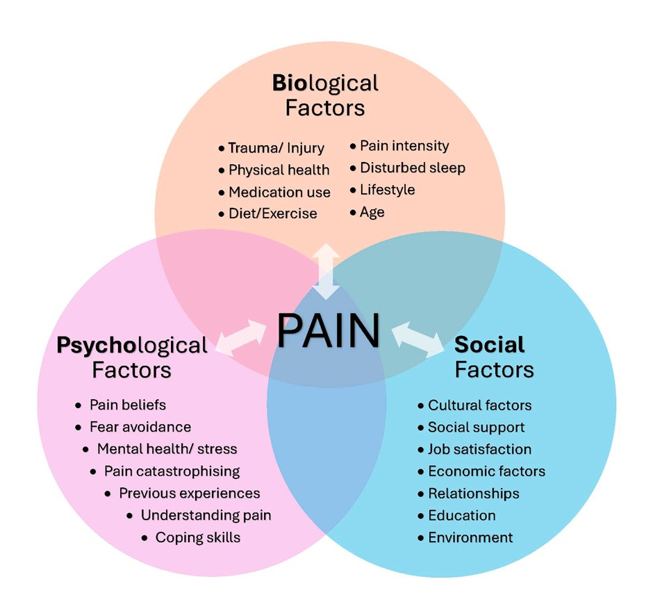 A diagram showing the ways in which biopsychosocial factors overlap